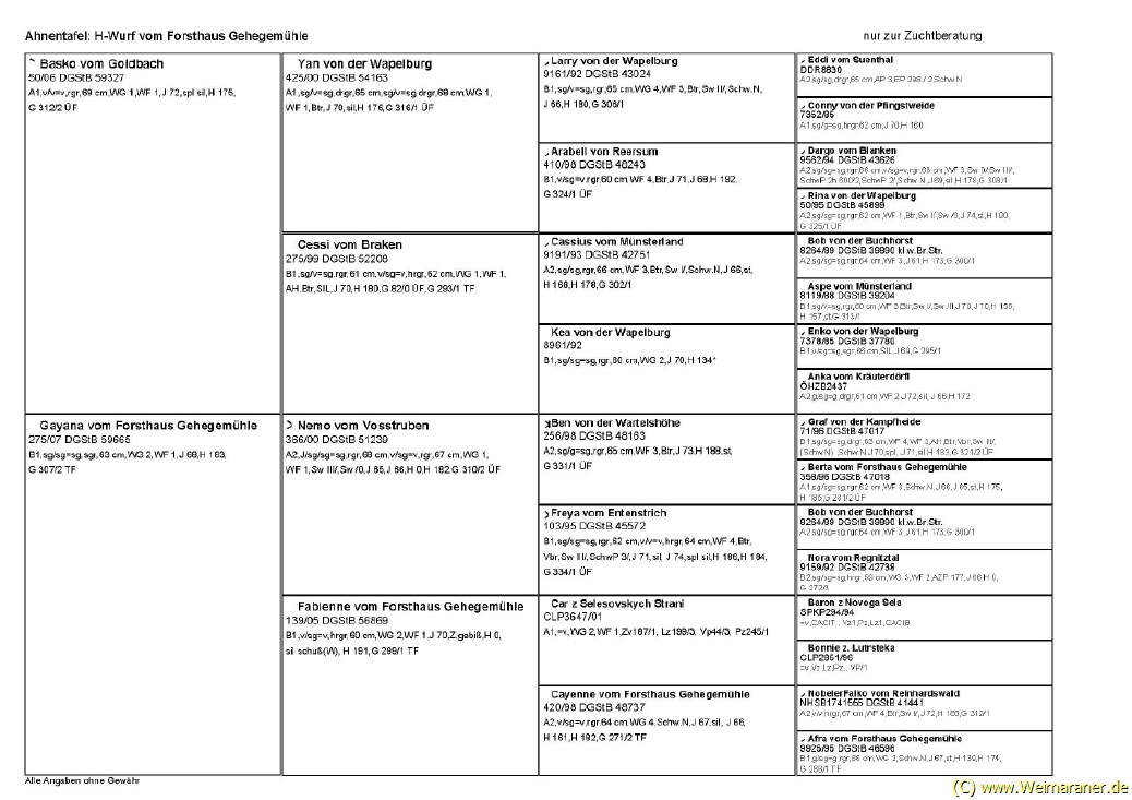 Ahnentafel H-Wurf (nur zur Zuchtberatung)