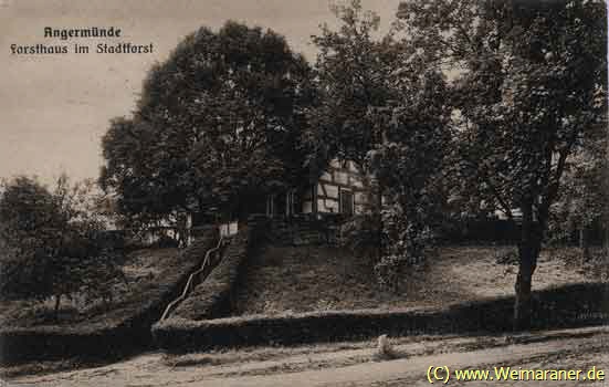 Revierf&ouml;rsterei Gehegem&uuml;hle (Postkarte 1923)